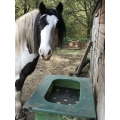 Parallax Hay Saver / Horse Hay Slow Feeder - 2 x FEEDING GRILLS SUPPLIED